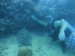 Hawaii Scuba divng 49