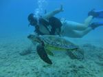 Hawaii Scuba divng 52