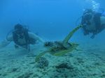 Hawaii Scuba divng 53