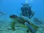 Hawaii Scuba divng 54