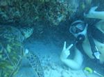 Hawaii Scuba divng 59