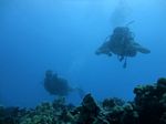 Hawaii Scuba divng 73