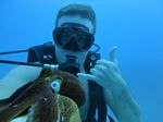 Hawaii Scuba divng 83