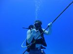 Hawaii Scuba divng 10