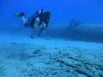 Hawaii Scuba divng 13