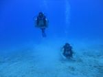 Hawaii Scuba divng 14