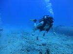 Hawaii Scuba divng 15