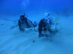 Hawaii Scuba divng 20