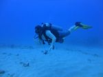 Hawaii Scuba divng 21