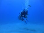 Hawaii Scuba divng 22