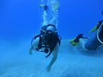 Hawaii Scuba divng 24