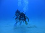 Hawaii Scuba divng 25