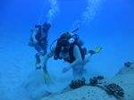 Hawaii Scuba divng 27