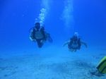 Hawaii Scuba divng 34