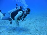 Hawaii Scuba divng 35