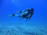 Hawaii Scuba divng 36