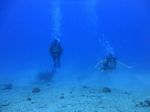 Hawaii Scuba divng 37