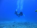 Hawaii Scuba divng 39