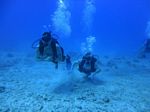 Hawaii Scuba divng 40