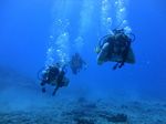 Hawaii Scuba divng 47