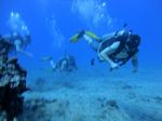 Hawaii Scuba divng 48