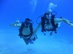 Hawaii Scuba divng 59