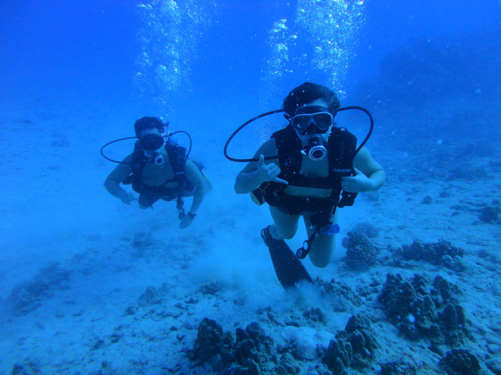 Primary Reasons To Scuba Dive in Honolulu Hawaii
