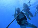 Hawaii Scuba divng 12