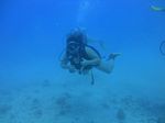 Hawaii Scuba divng 16