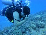 Hawaii Scuba divng 18