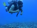 Hawaii Scuba divng 19