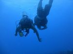 Hawaii Scuba divng 22