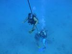 Hawaii Scuba divng 26