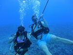 Hawaii Scuba divng 30