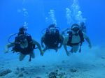 Hawaii Scuba divng 34