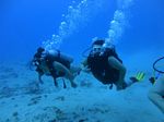 Hawaii Scuba divng 35