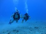 Hawaii Scuba divng 36