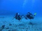 Hawaii Scuba divng 37