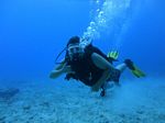 Hawaii Scuba divng 38