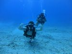 Hawaii Scuba divng 39