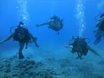 Hawaii Scuba divng 43