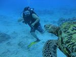 Hawaii Scuba divng 49