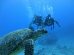 Hawaii Scuba divng 53