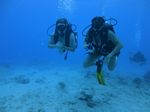 Hawaii Scuba divng 57