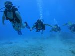 Hawaii Scuba divng 58