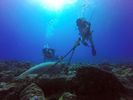 Hawaii Scuba divng 13