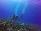 Hawaii Scuba divng 17