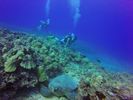 Hawaii Scuba divng 21