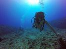 Hawaii Scuba divng 26