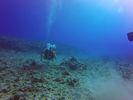 Hawaii Scuba divng 29